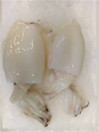 Whole Cuttlefish (Sepia) 1–2 pieces – approx. 1kg Frozen