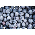 Wild Blueberries (Frozen) – 1kg